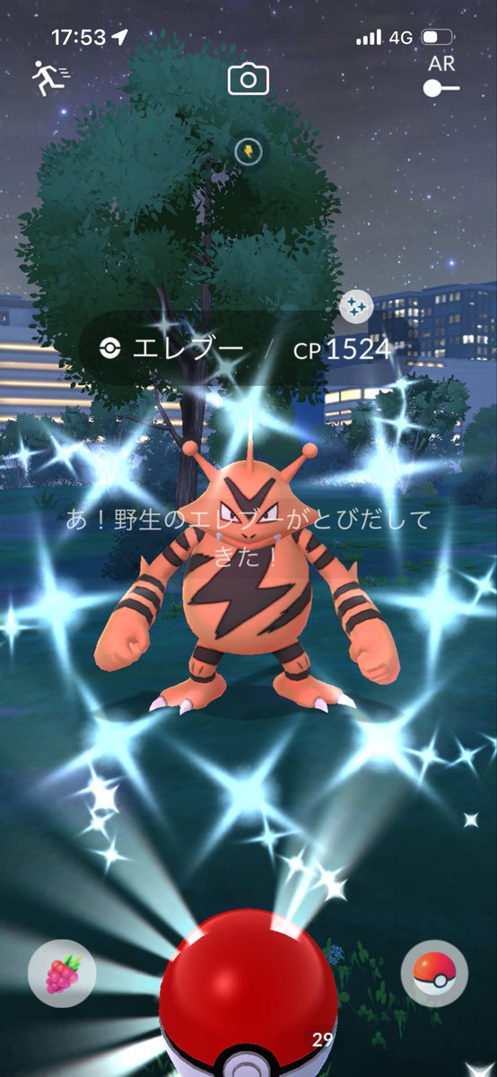 BCHT13's tweet photo. 本命が出ないけど笑　まっいっか笑
#ポケモンGO #ポケモンGO色違い https://t.co/Eyx2gDunVV