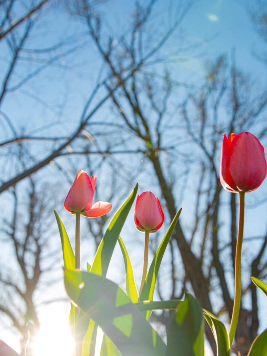 World Click (@worldclick56) on Twitter photo 