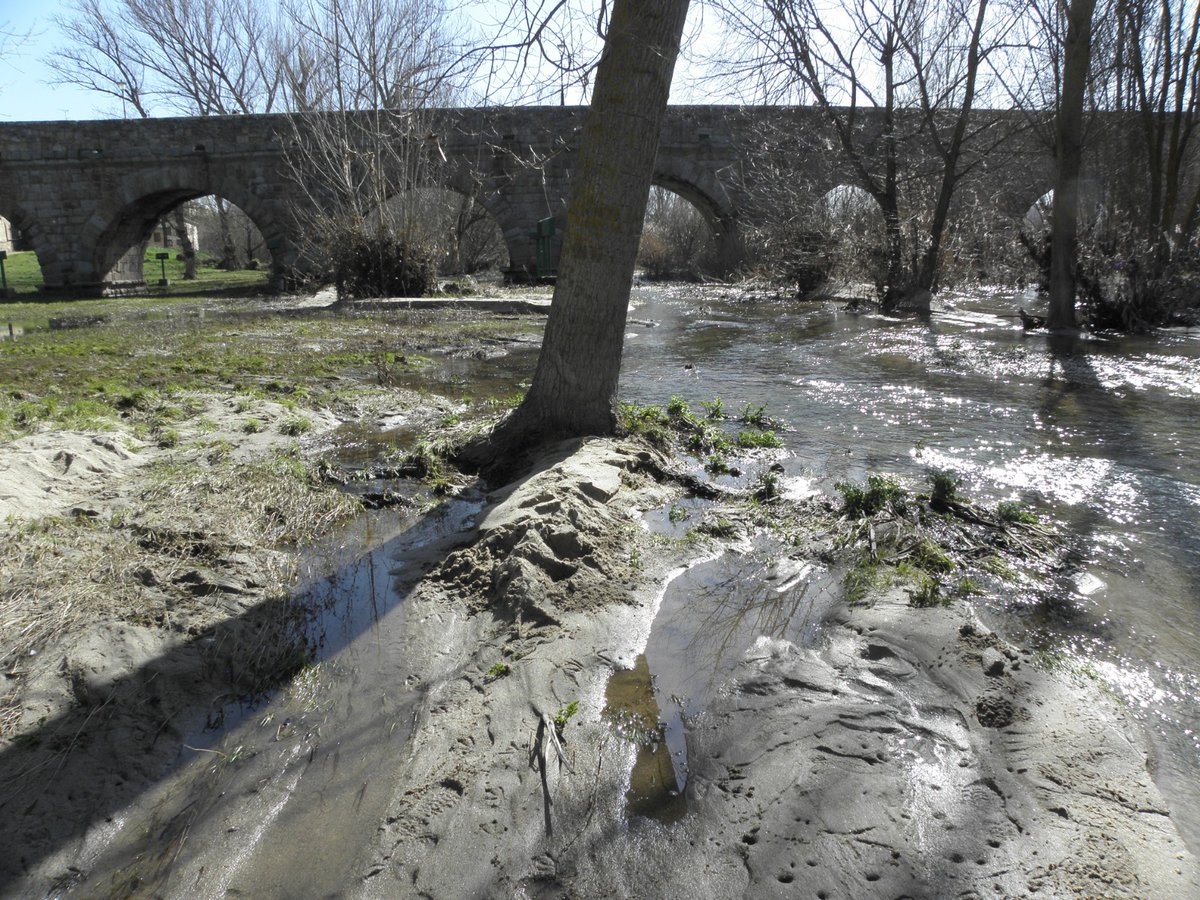 José Manuel Gasca tweet media