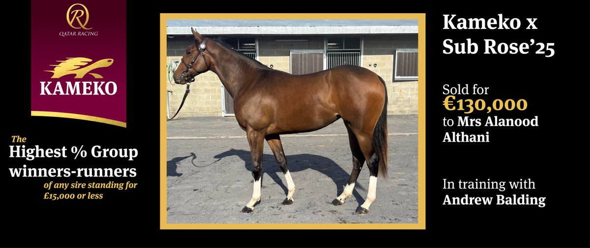 Tweenhills tweet media