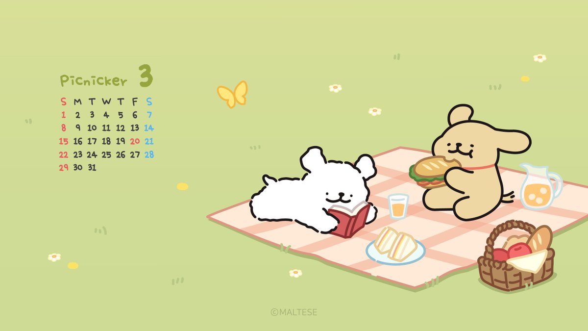 モルチーズ【公式】 tweet media