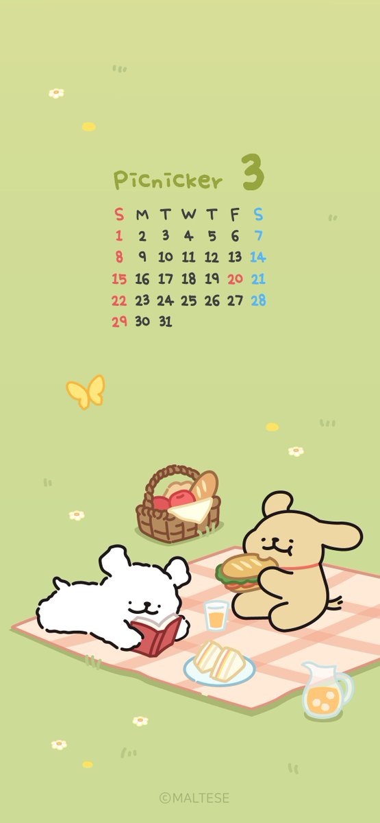 モルチーズ【公式】 tweet media