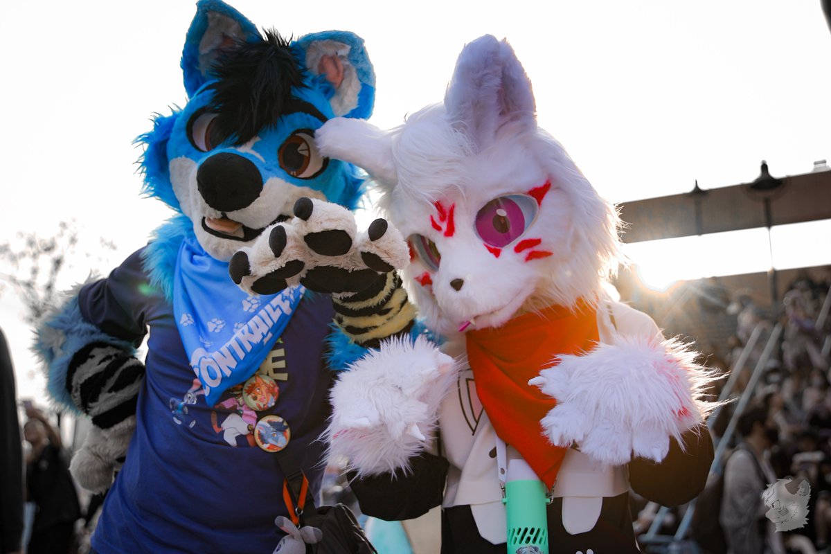 Fancxy Fox(狐幻) tweet media