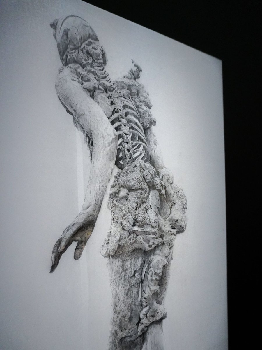 TokyoArtBeat_JP's tweet photo. 「諏訪敦｜きみはうつくしい」（WHAT MUSEUM）レポート。母の死をきっかけに到達した新境地とは？ 
https://t.co/xlPLlbr8k3 
最新作《汀にて》など、初公開の約30点を展示。会期は3月1日まで。 https://t.co/sb0KqFsnJP