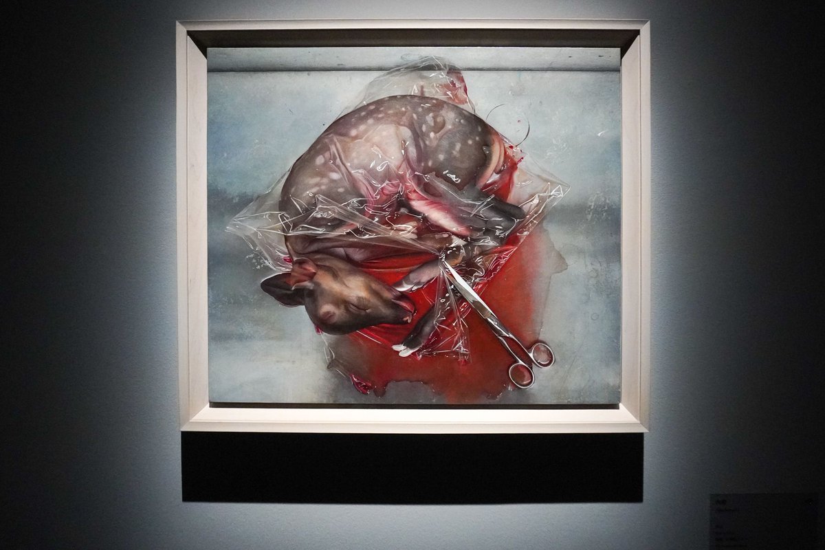TokyoArtBeat_JP's tweet photo. 「諏訪敦｜きみはうつくしい」（WHAT MUSEUM）レポート。母の死をきっかけに到達した新境地とは？ 
https://t.co/xlPLlbr8k3 
最新作《汀にて》など、初公開の約30点を展示。会期は3月1日まで。 https://t.co/sb0KqFsnJP