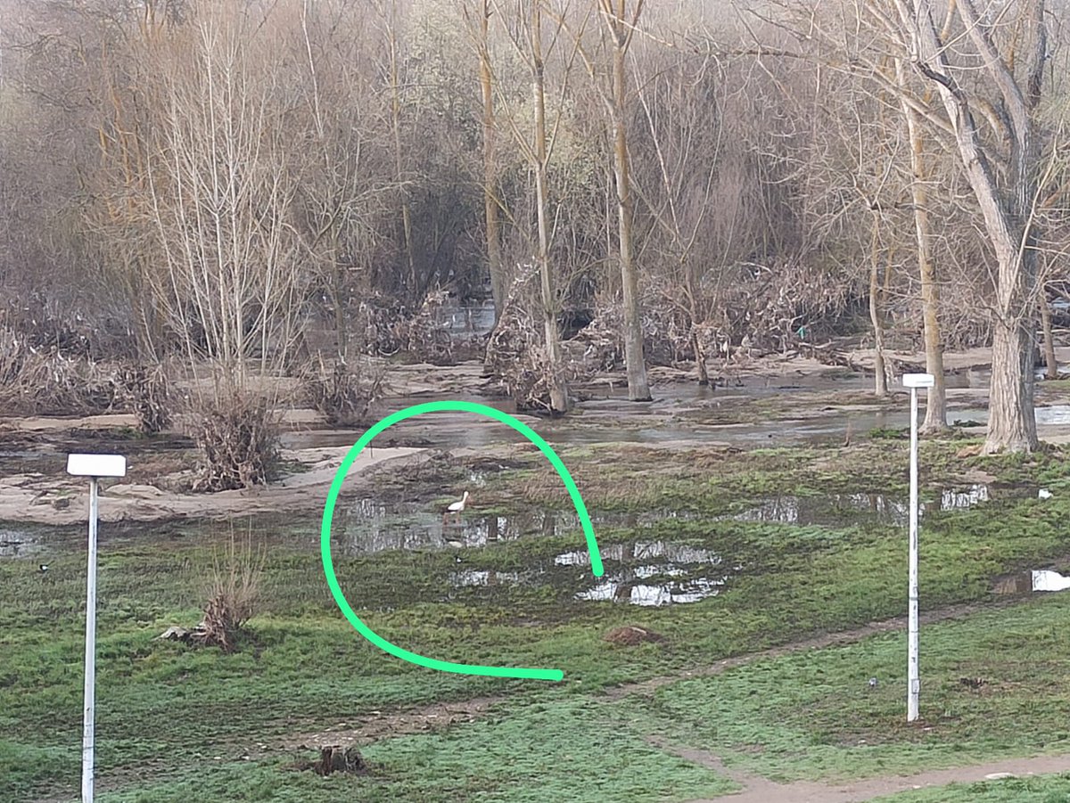 José Manuel Gasca tweet media