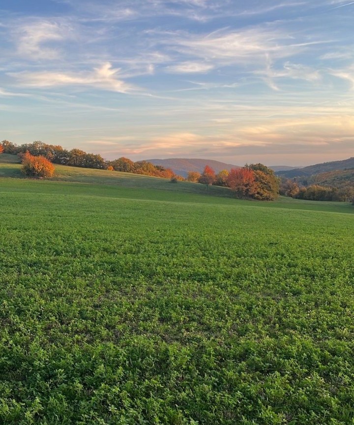 Shayan.base.eth tweet media