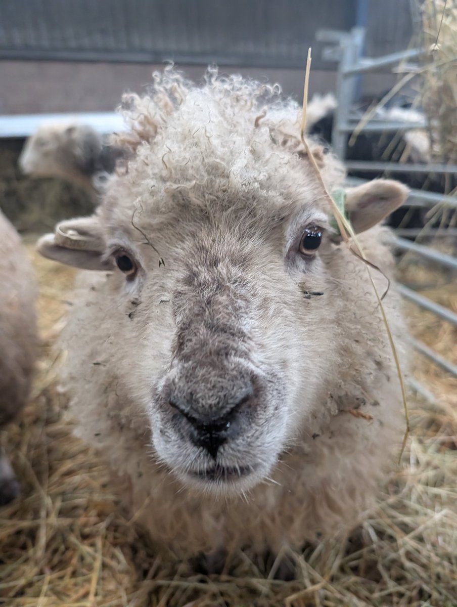 Sally Urwin tweet media