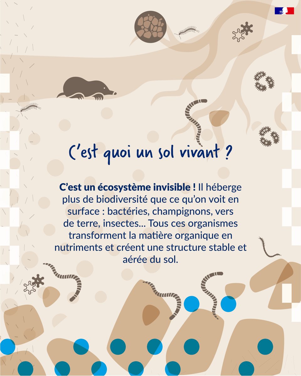 En Immersion, le média des agences de l'eau tweet media