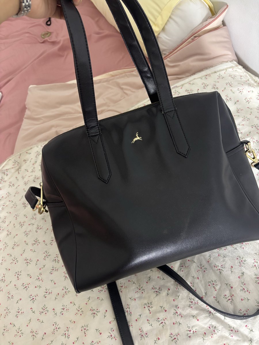 love, shafa. tweet media