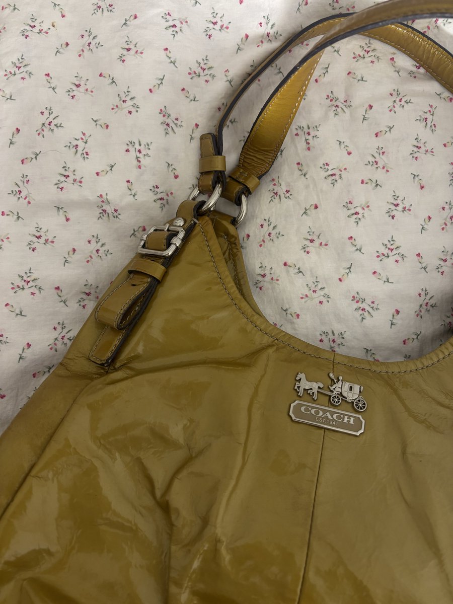 love, shafa. tweet media