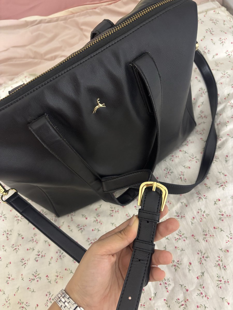 love, shafa. tweet media