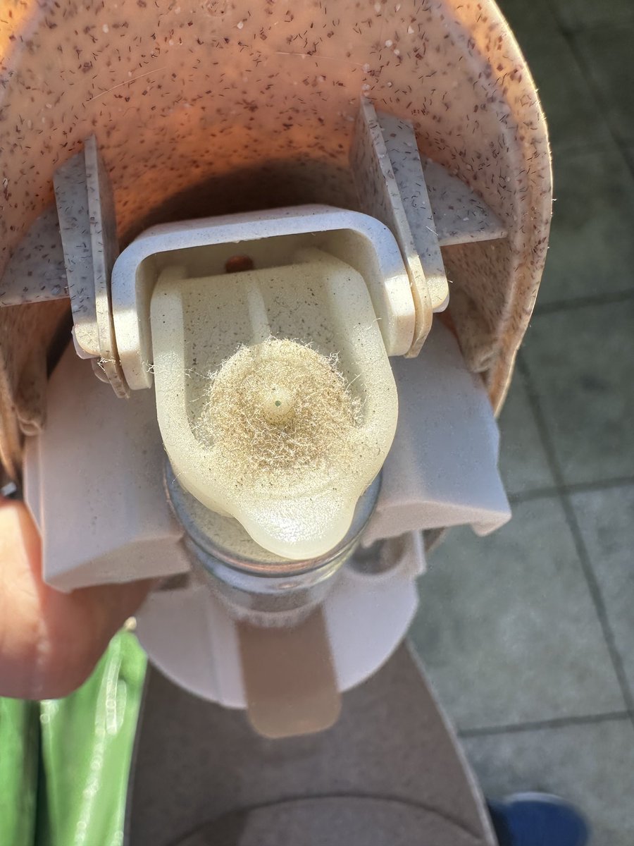 To the individuals concerned, I found a source of poisoning. I bought a fragrance diffuser a week ago,my home is very clean.
I moved and when I came back, diffuser had moved and was broken at the bottom. They replaced the cartridge with another one, in addition to diffuser hidden