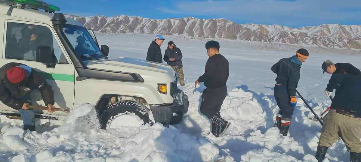 Olga Dzhumaeva tweet media