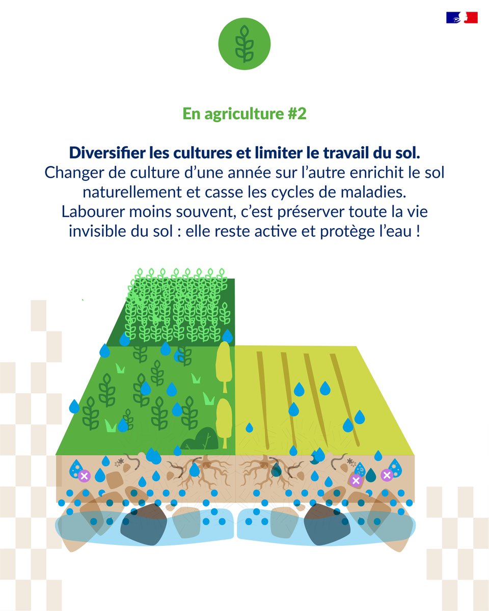 En Immersion, le média des agences de l'eau tweet media