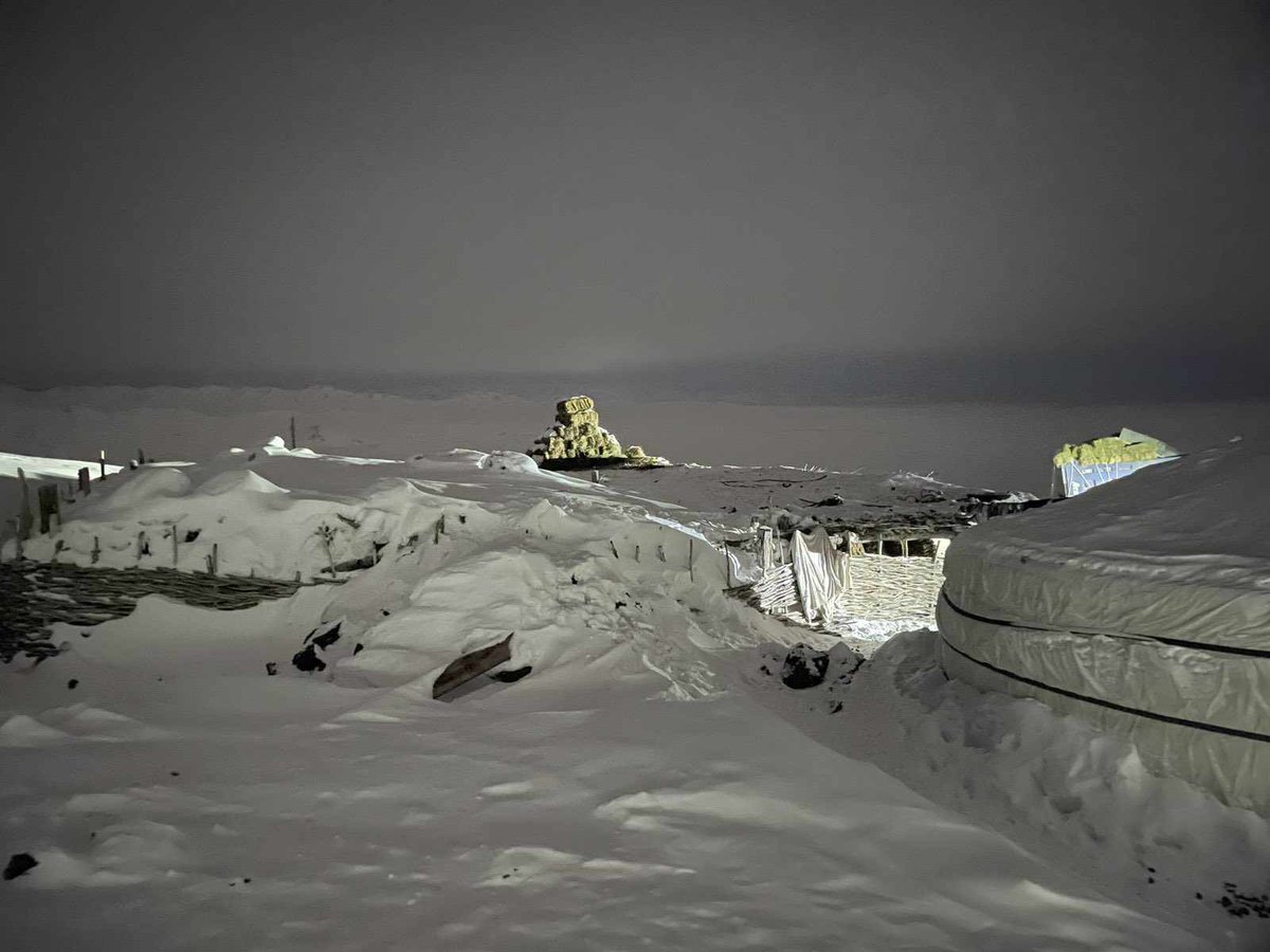 Olga Dzhumaeva tweet media