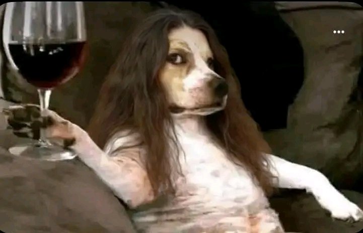 Your girl mad that you’re happy and now she’s thinking of something to ruin your day