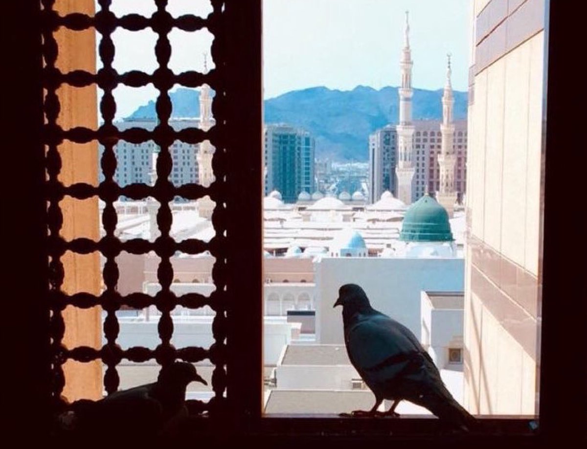 fatamialssaqer's tweet photo. روى البيهقي و البزّار من حديث أبي هريرة رضي الله عنه :

" و إذا ضحك ﷺ يتلألأ في الجُدُرِ "

قال الزرقاني : الجُدُر - بضم الجيم و الدال - جمع جدار ، أي : يشرقُ نوره عليها إشراقاً كإشراق الشمس عليها ..! https://t.co/K6q0DjzgCv