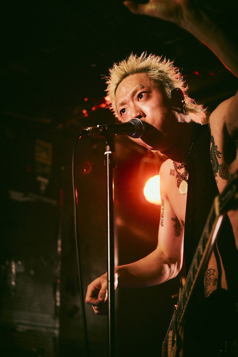 Baja / バハ tweet media