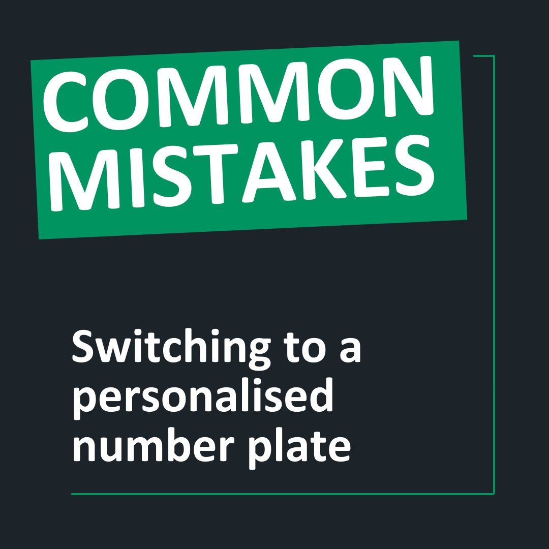 Drive Insured tweet media