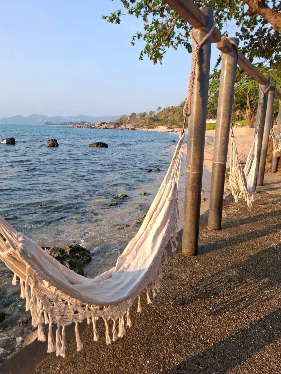 𝐊𝐨𝐡 𝐒𝐚𝐦𝐮𝐢 𝐚𝐧𝐝 𝐁𝐞𝐲𝐨𝐧𝐝 tweet media