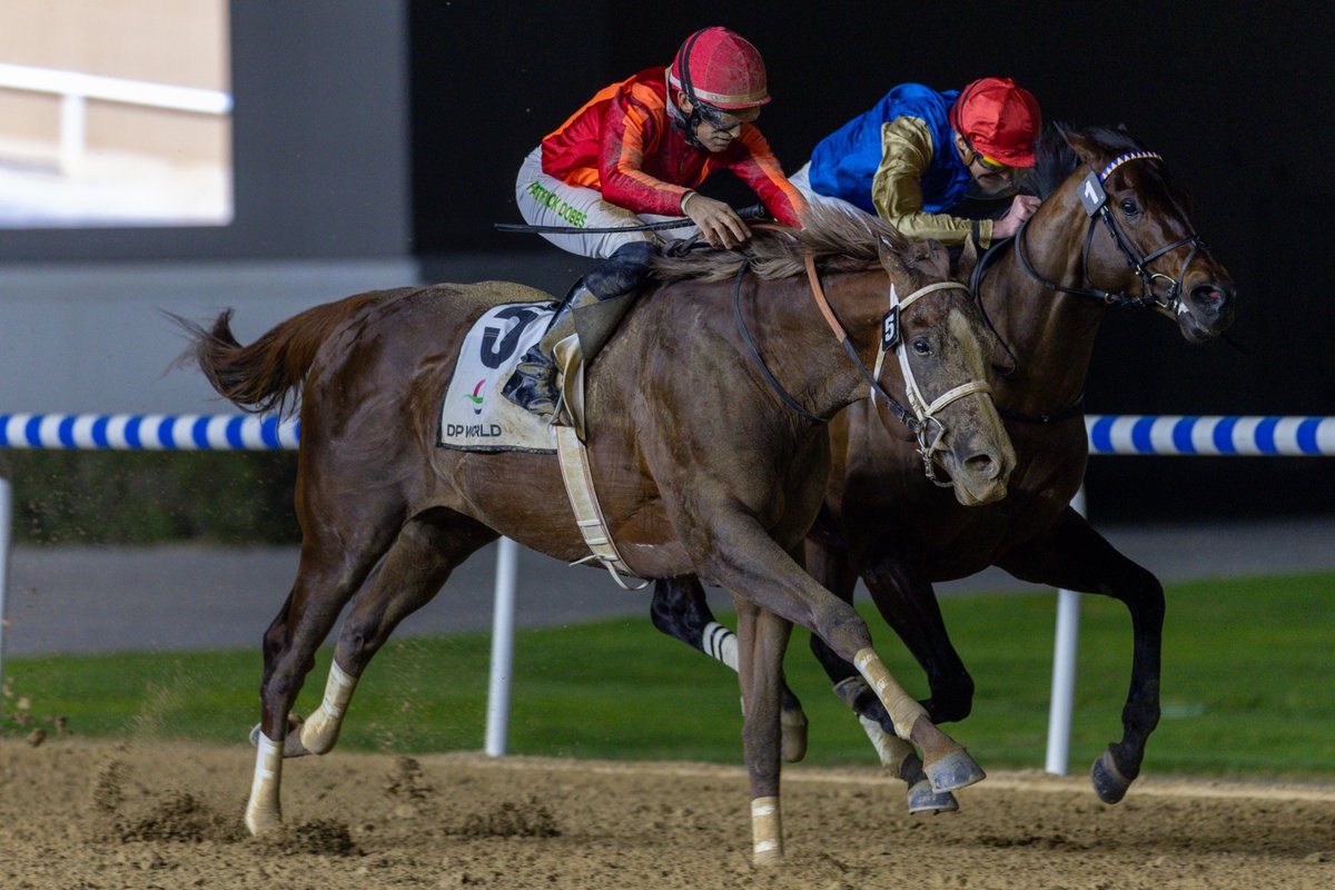 AdolphsonRacing's tweet image. Watson Trio Play The Challenger Roles On Super Saturday
🔗racing971.ae/news/2026/Febr… #SuperSaturday @RacingDubai (📷DRC)