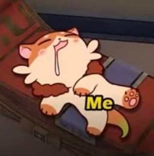 ofFigStew's tweet photo. Uwooo—! Seepmimi awoo 💤😴 https://t.co/Iv3EcHCeuo