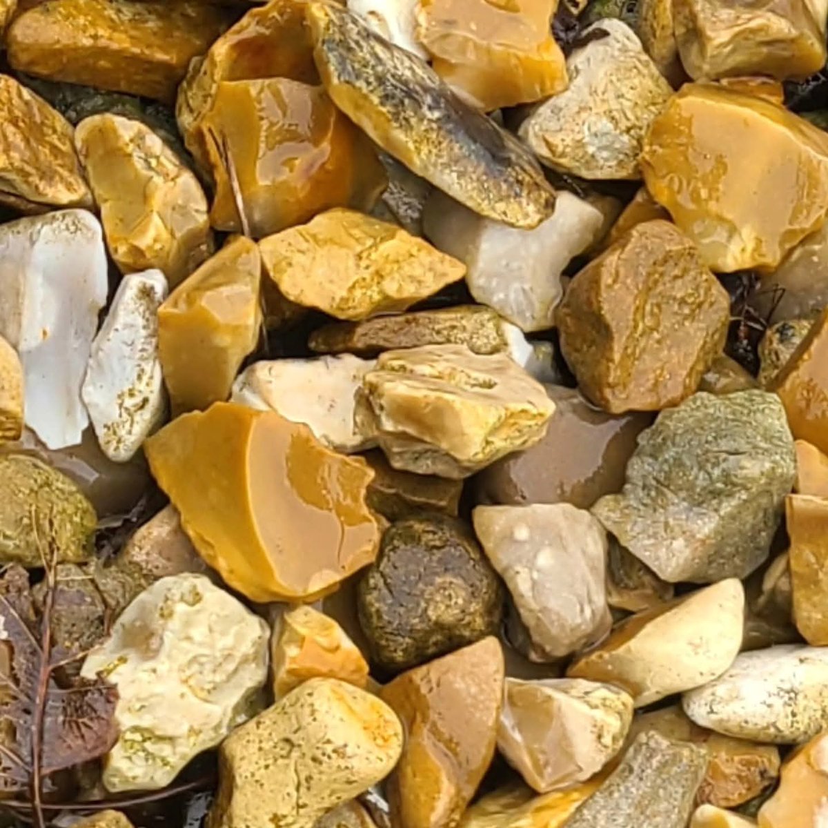 BellUkcbajr's tweet photo. Word for today: Alone

The tempter ... said, “... tell these stones to become bread.” Jesus answered, “... ‘Man shall not live on bread alone, but on every word that comes from the mouth of God.’”Matthew 4:3-4
#alone
#lent2026
#verseoftheday
#lentphotoaday
https://t.co/U6UrR3nqUK https://t.co/HI3x8v2KZk