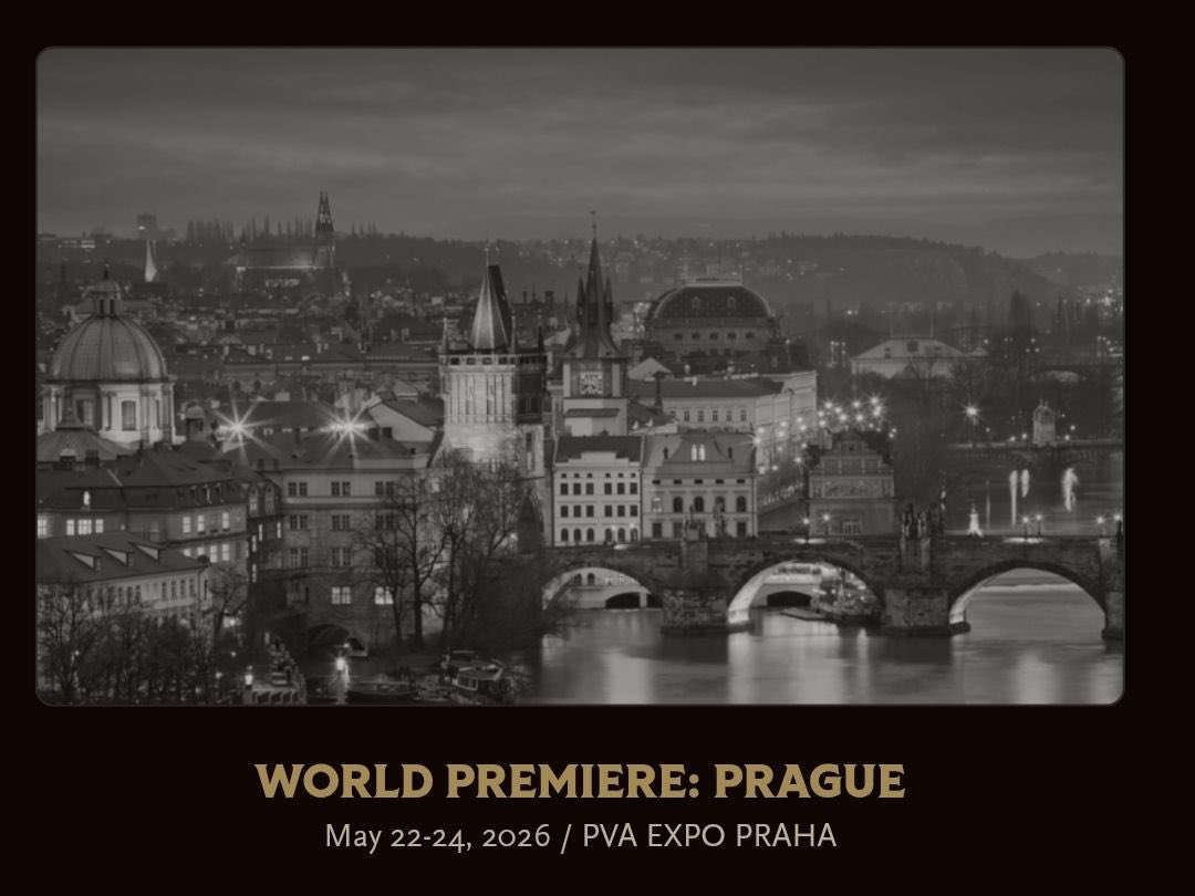 Zaeliam (Carlota) 🔜 WP Prague ⚡️ tweet media