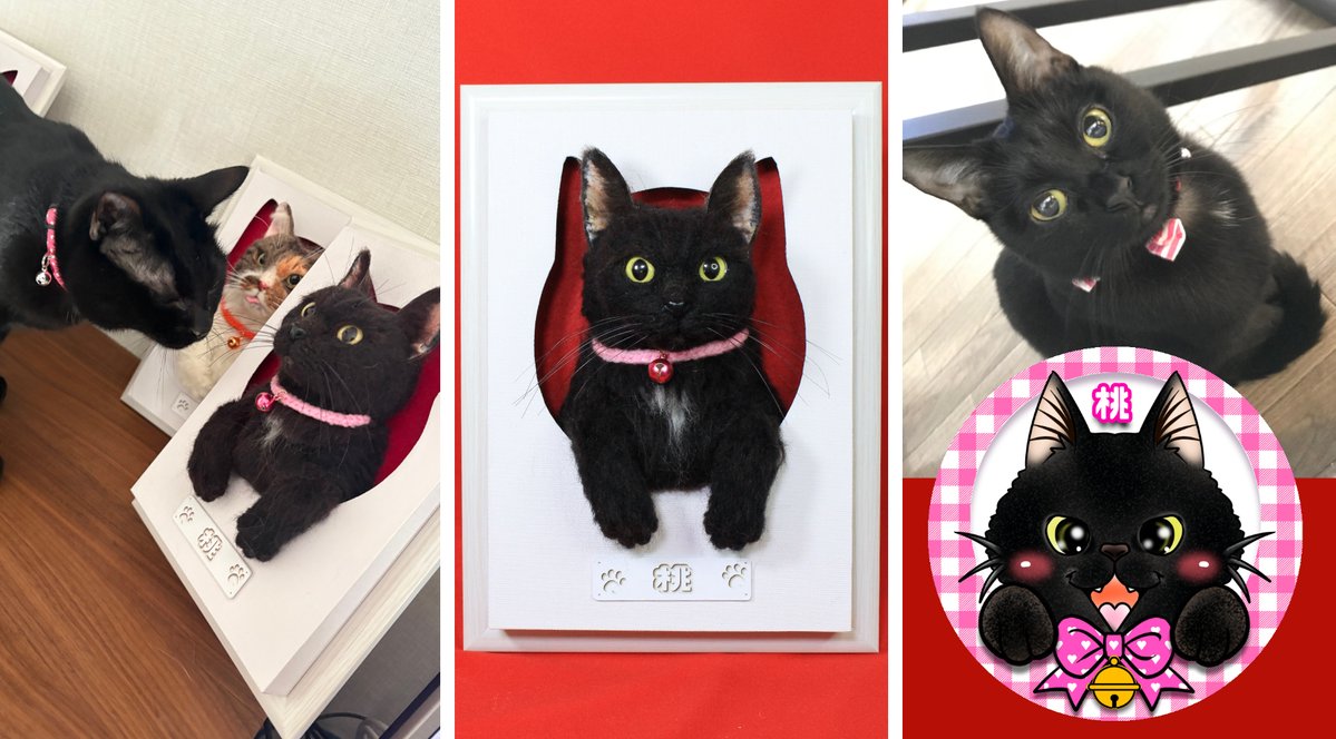 昨日の続きの黒猫の桃ちゃんの「我が家の猫様」です、 個人的に一番