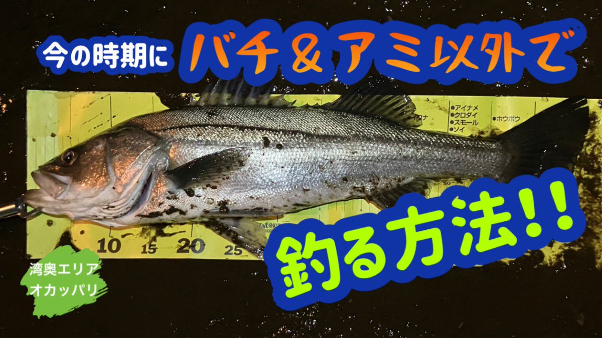 バチやらアミやらハゼまで無視して釣った時の！ 河川の上流には既に