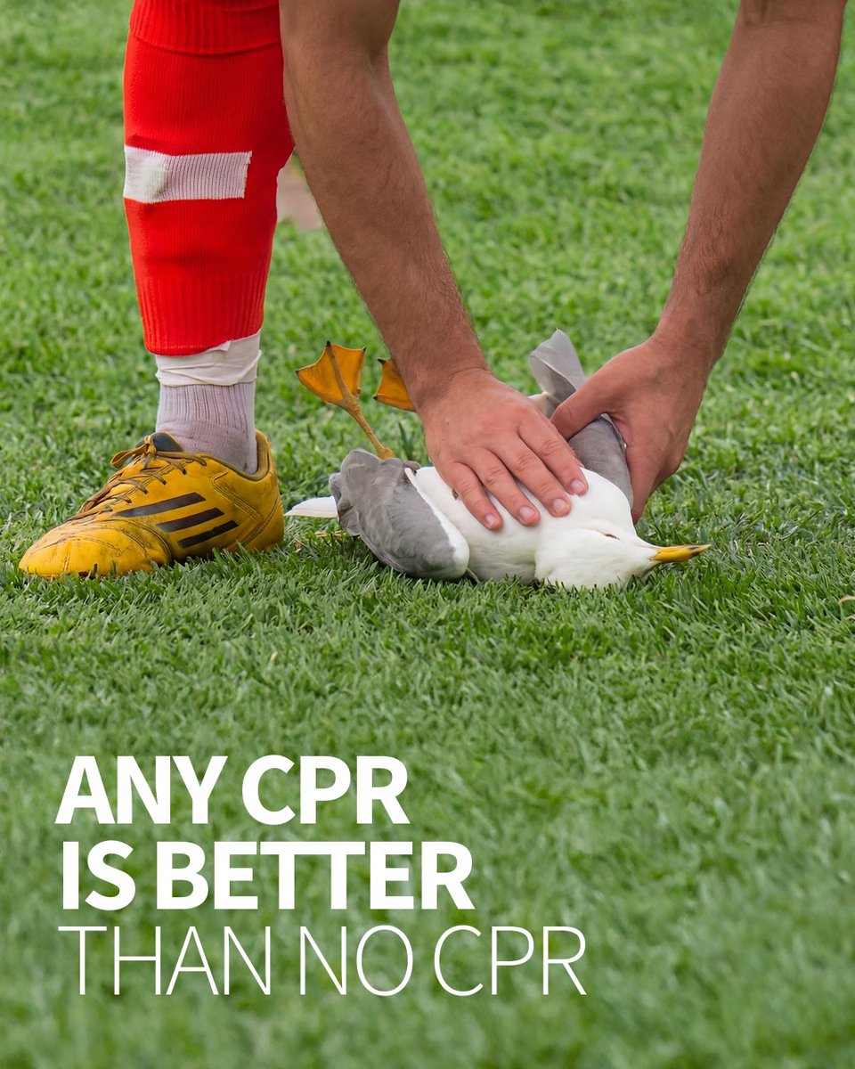 ERC - European Resuscitation Council tweet media