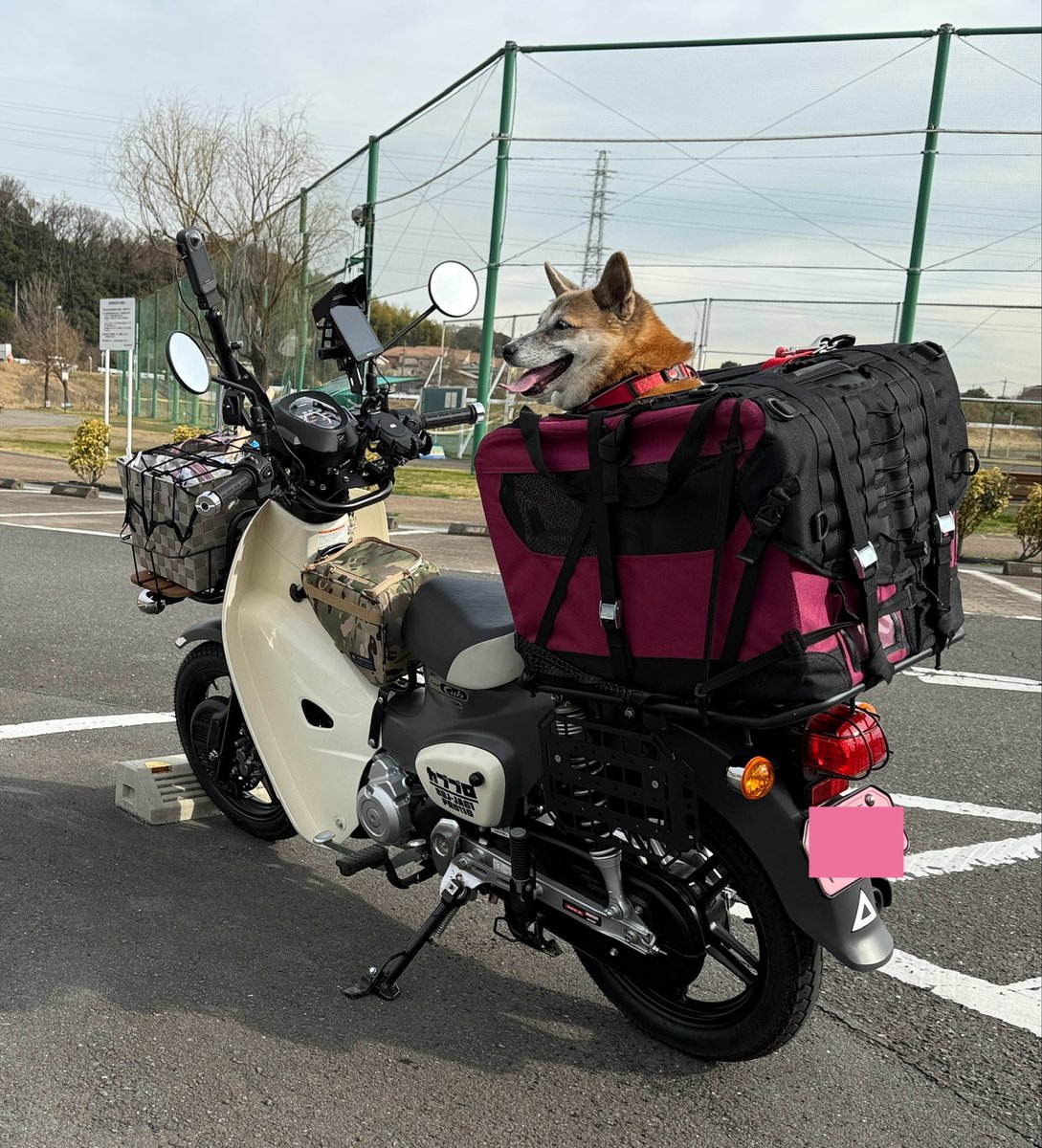 スーパーカブ110プロに追加装備 ももちゃん キタコ マルチパーパスバー