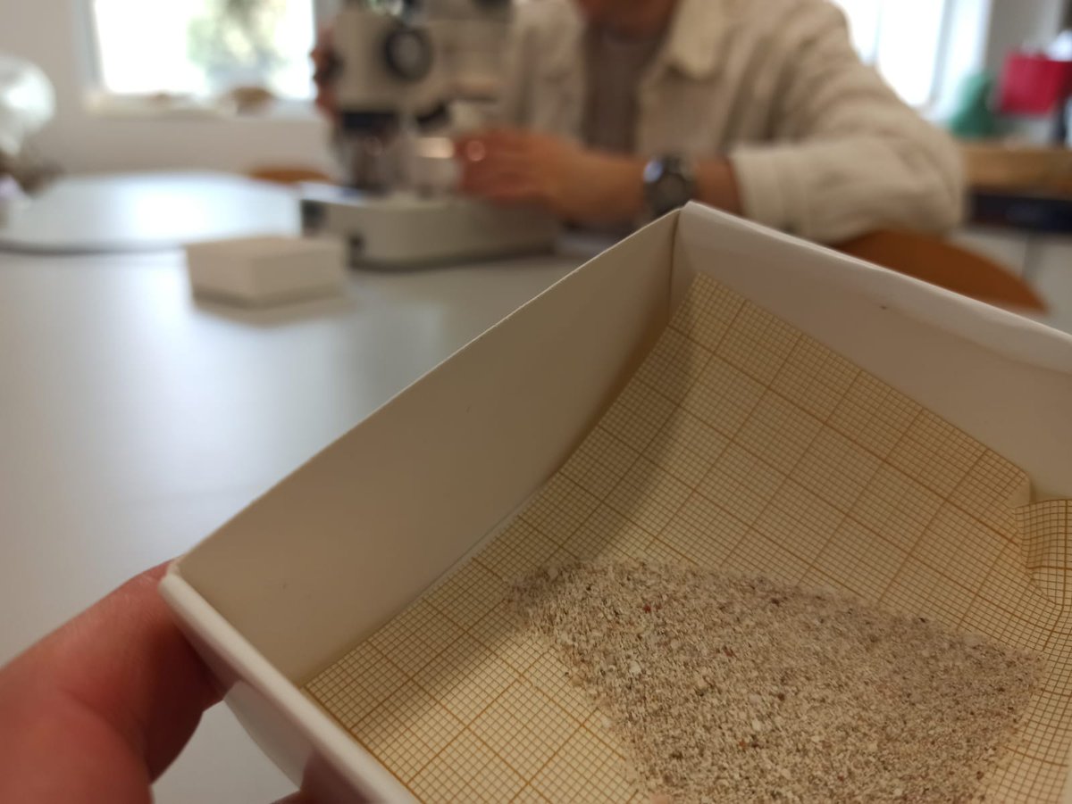 Departamento de Geología USAL tweet media