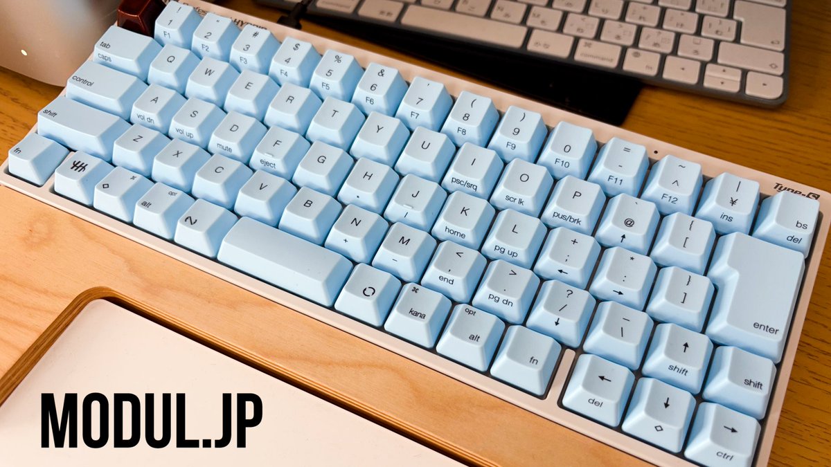 MODUL.JP公式🐰 tweet media