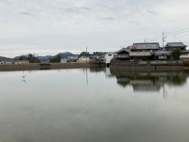 泉井小太郎 tweet media