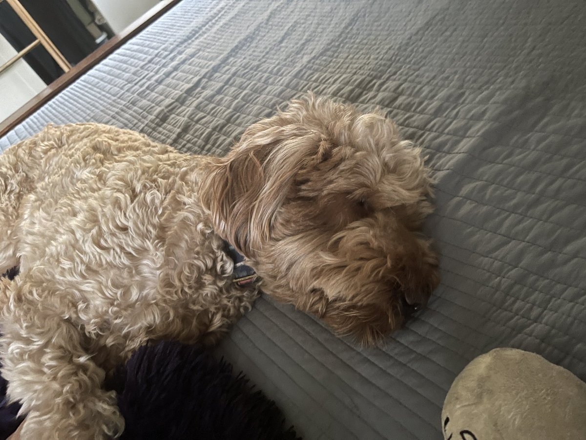 Jack Smiley tweet media