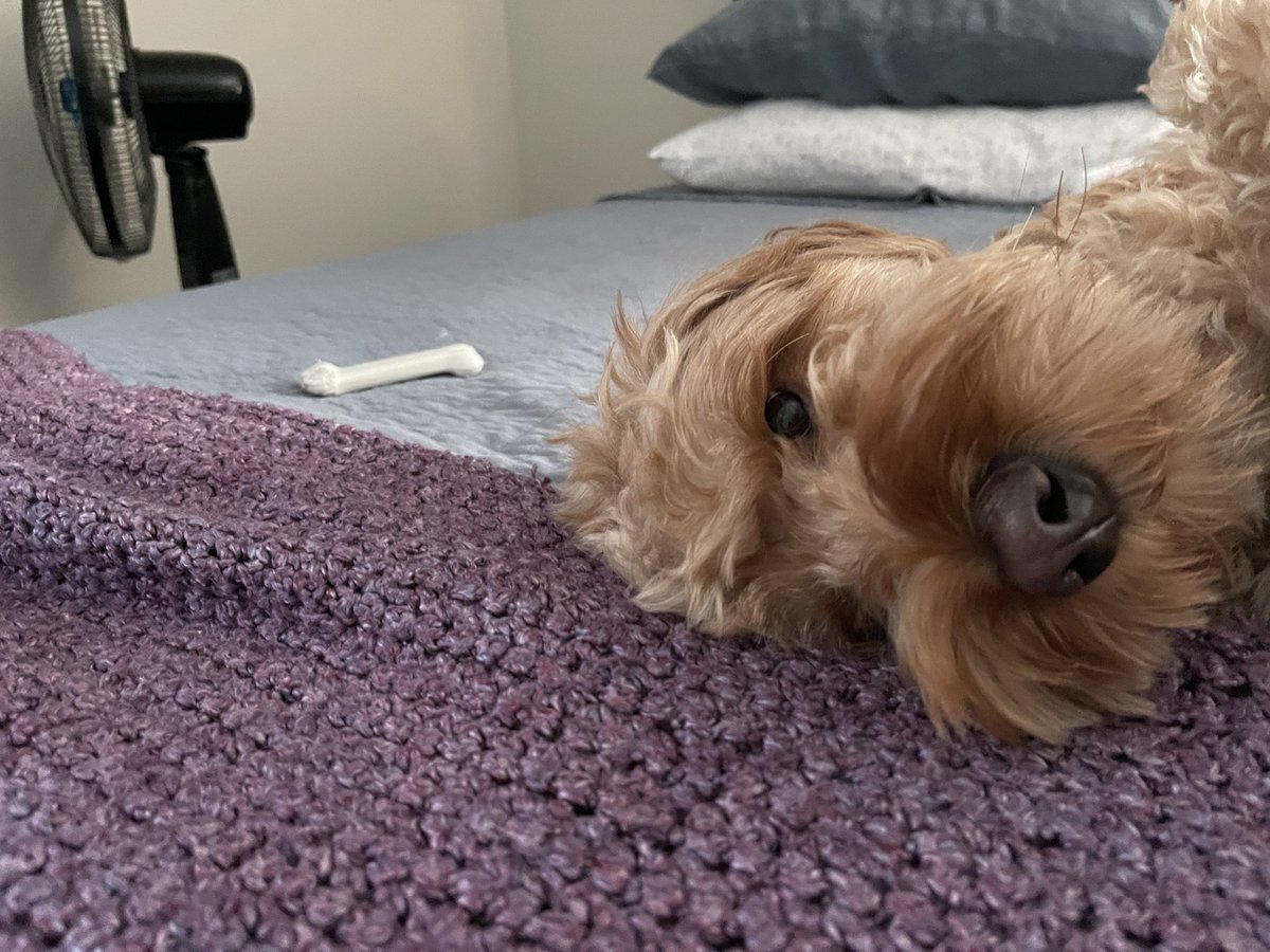 Jack Smiley tweet media