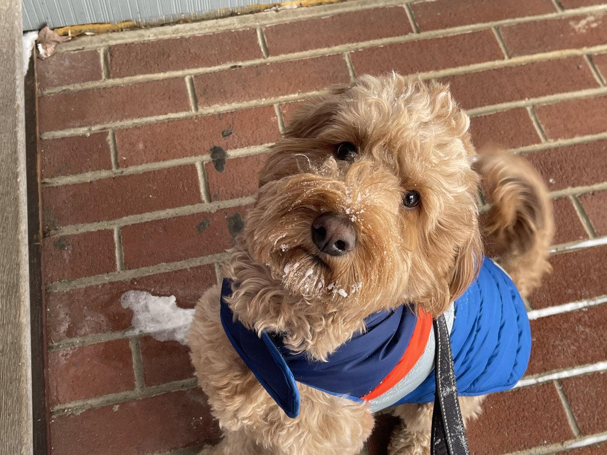 Jack Smiley tweet media