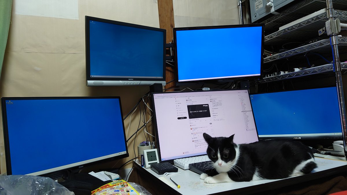 ZOTAC_JAPAN 5PC5枚 1stPC、メインPC、下段真ん中、27インチ WQHD