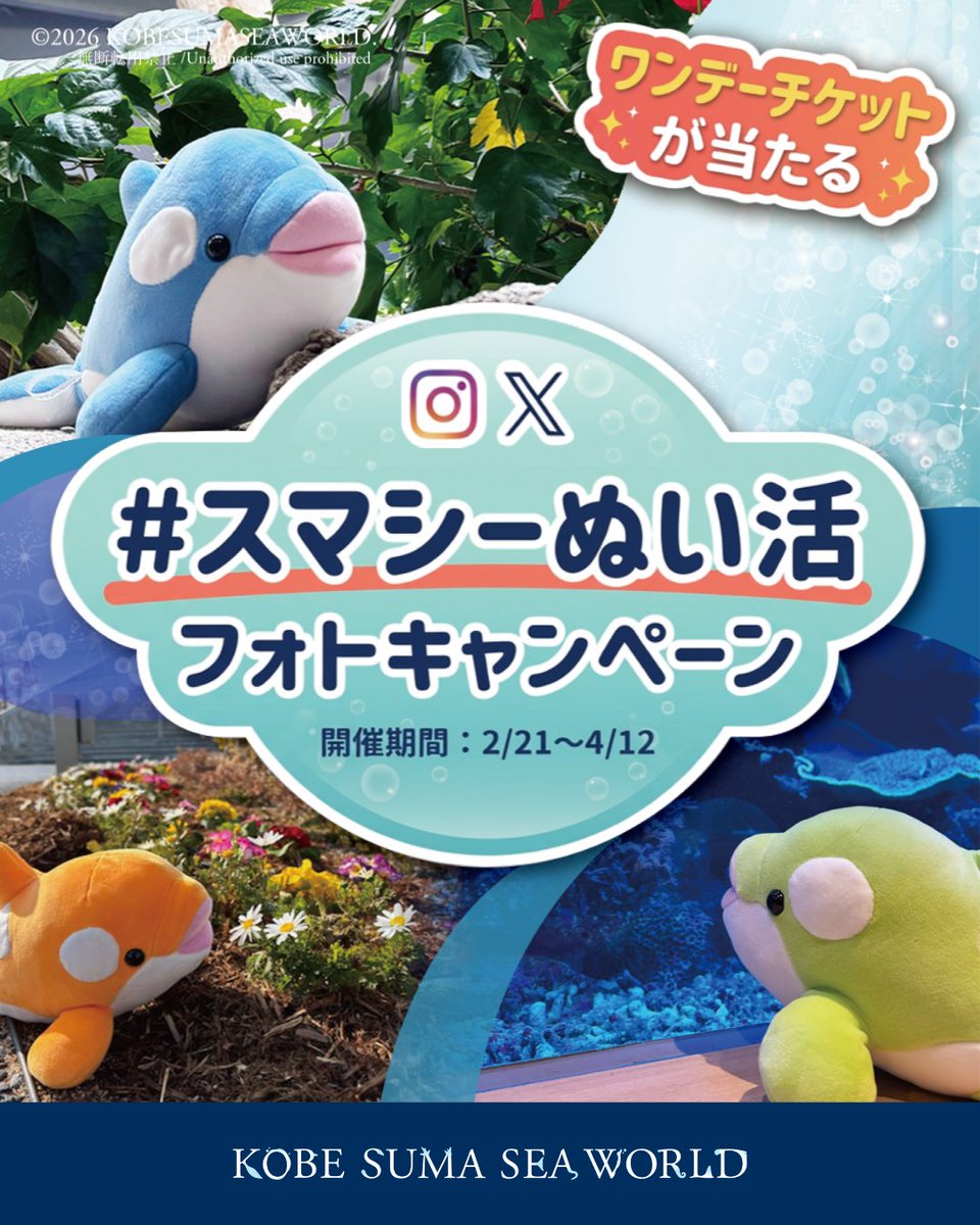 Colleen Wilcox Sea Skyソフトファンボード 千葉北手渡し限定 神戸須磨