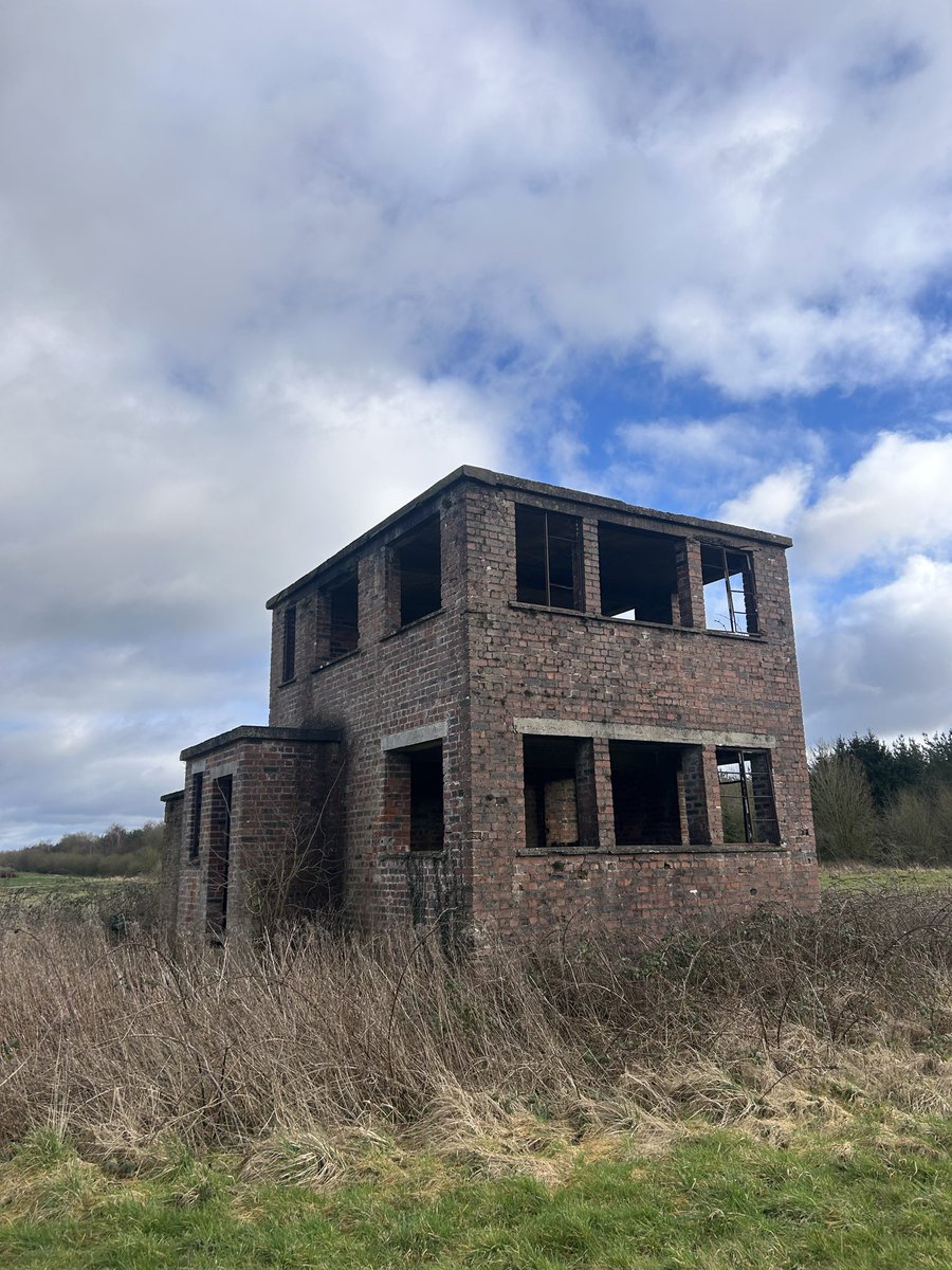 Watchtree NR tweet media