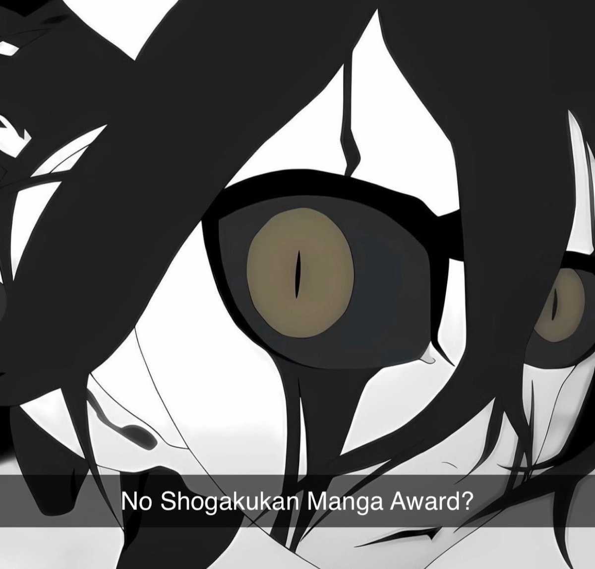 Anyway, Bleach is the only one of the Big 3 to win the Shogakukan Manga Award