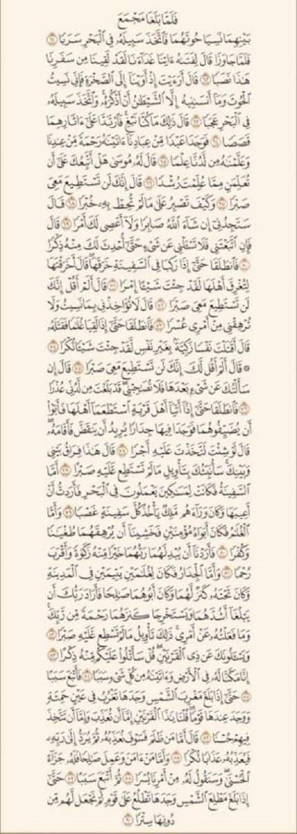 p8og0's tweet photo. سورة الكهف نور مابين الجمعتين 🤍 https://t.co/wSK1Ea9hyl