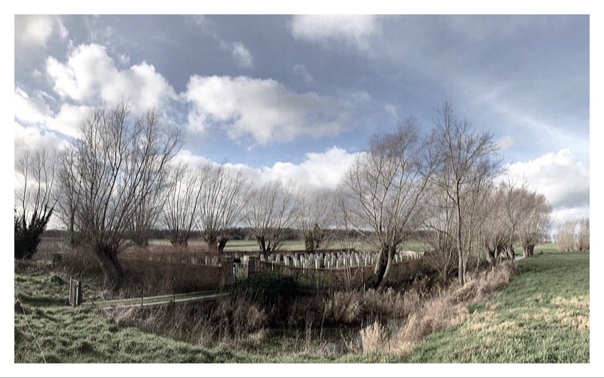 Tim Godden tweet media