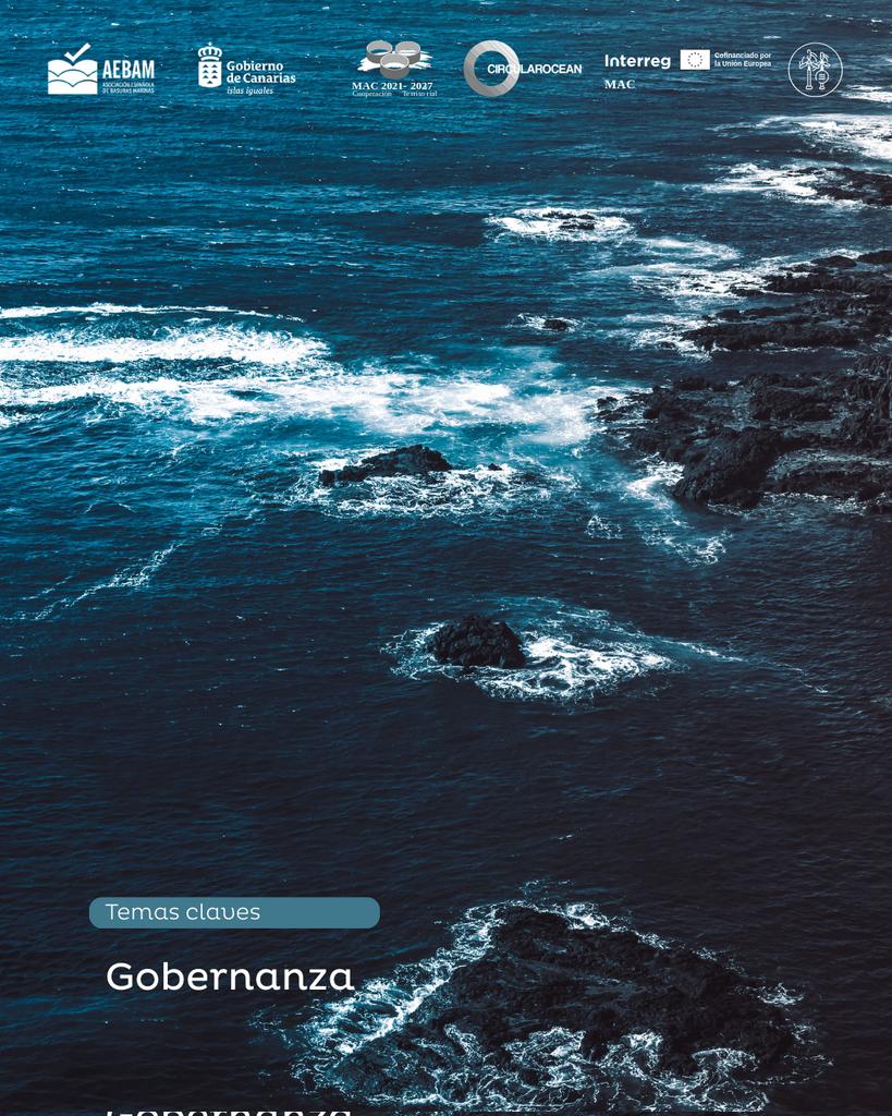 AEBAM Basuras Marinas tweet media