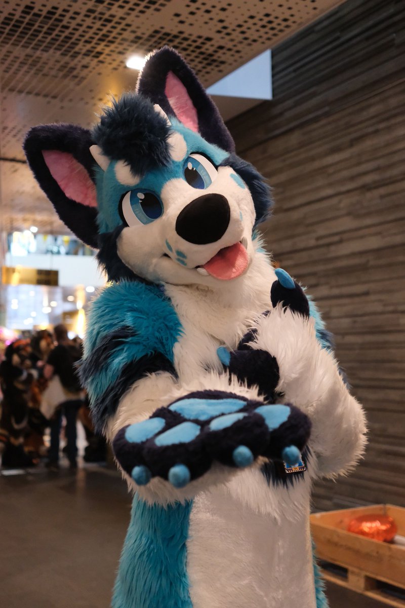 Exi 🔜 CeSFuR, Awoostria tweet media