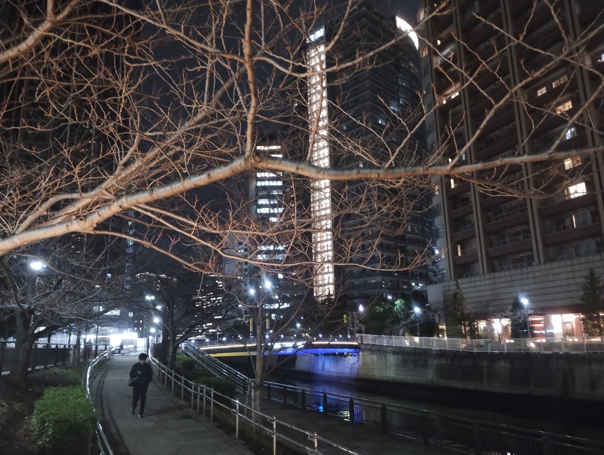 🇺🇦さくら🐇のパパ🇯🇵高配当株に移行中🇺🇦 (@K70_55) / Posts / X