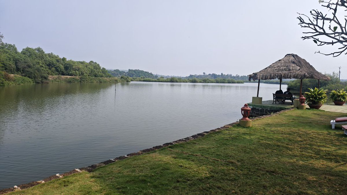 CryptoNoey tweet media