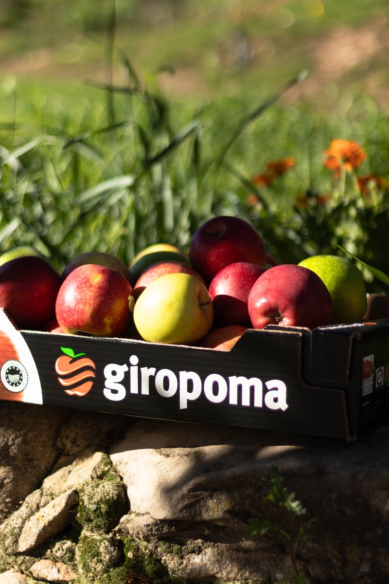 Giropoma Costa Brava tweet media